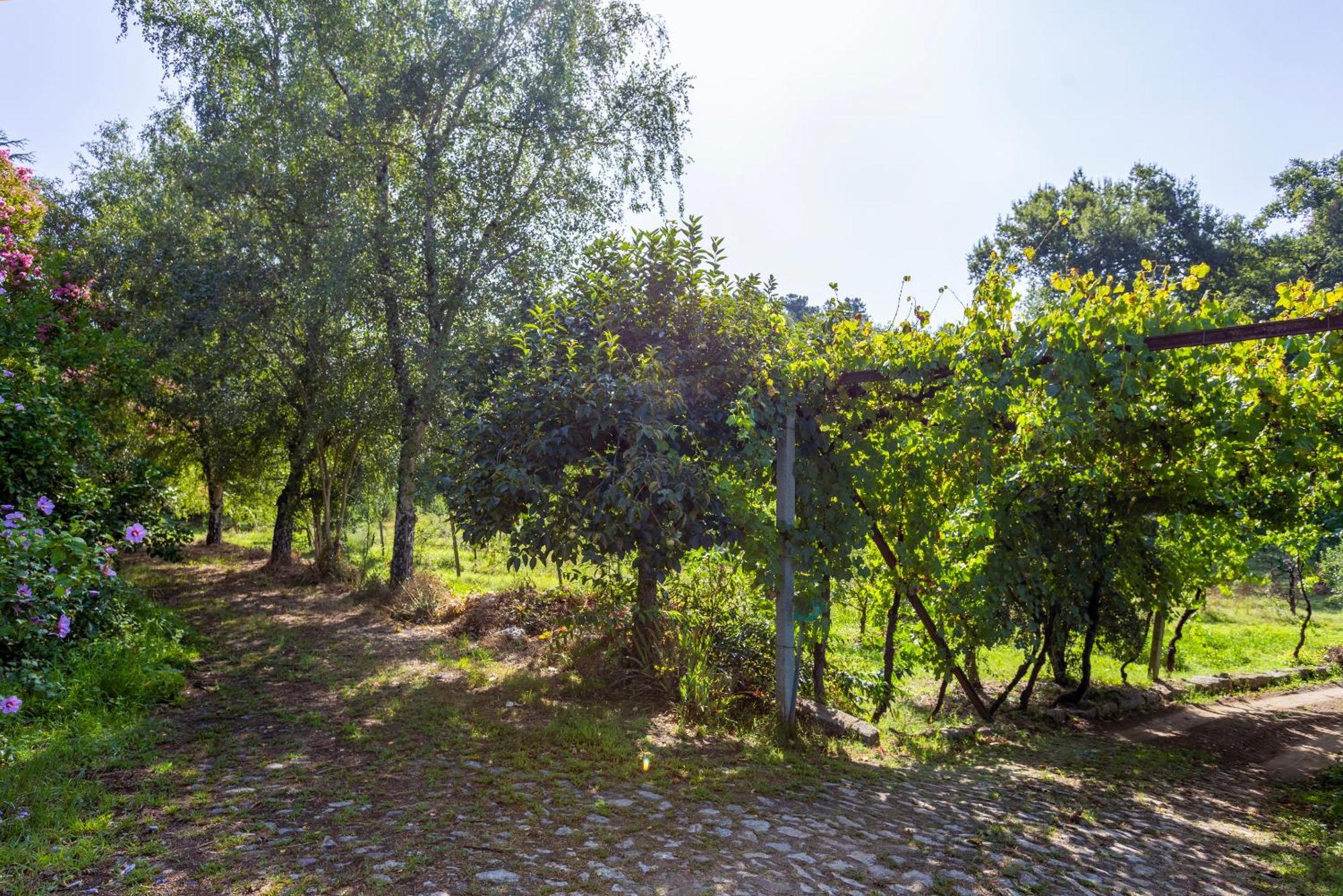 Quinta Da Comenda São Pedro do Sul Exterior foto